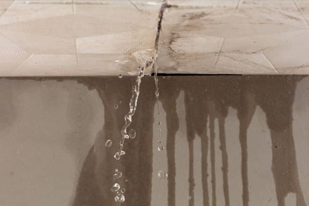 Professional Structural Drying technician working in Huntington Woods, MI